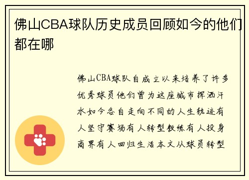 佛山CBA球队历史成员回顾如今的他们都在哪